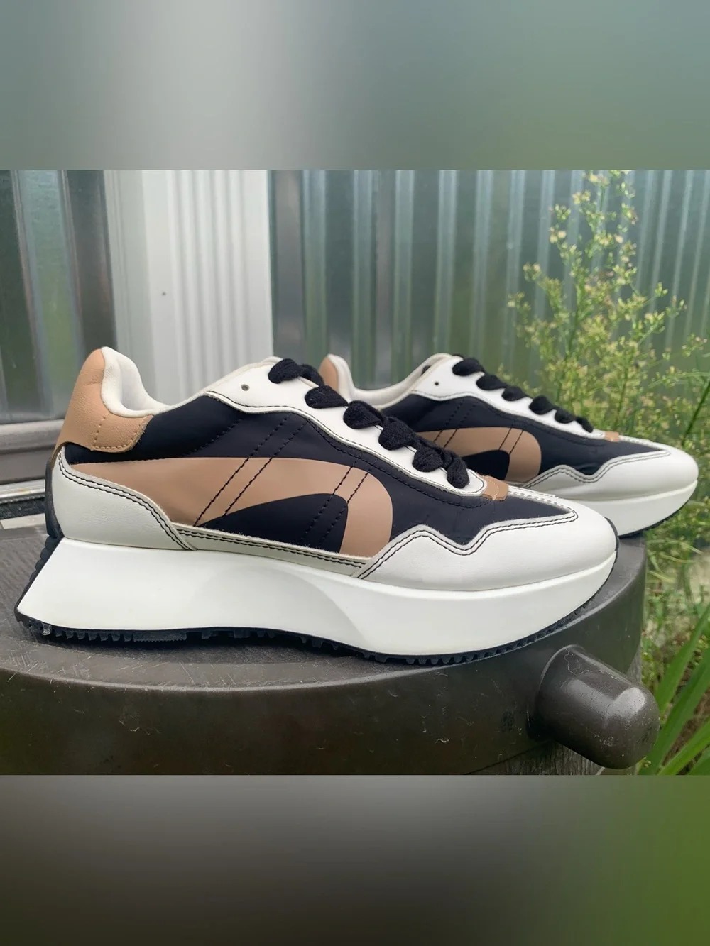 Steve Madden versatile low